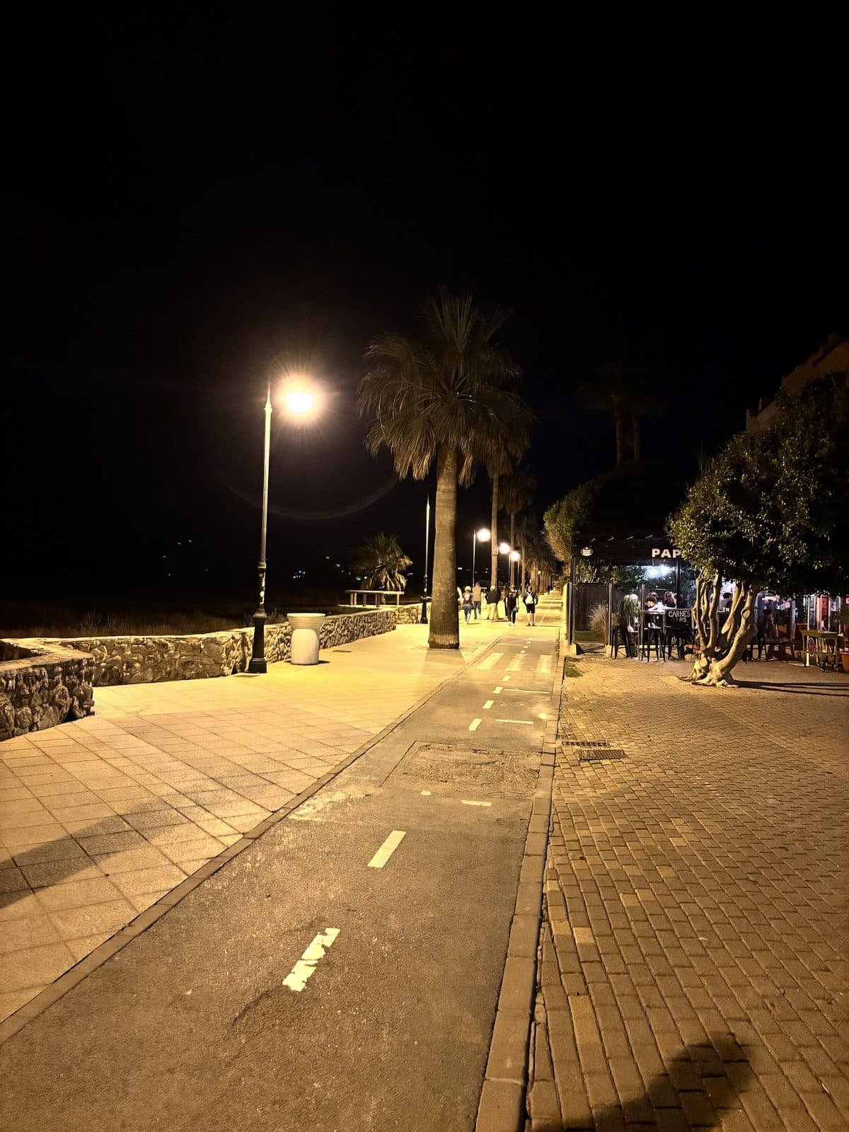 Beleuchtete Promenade mit Palmen bei Nacht