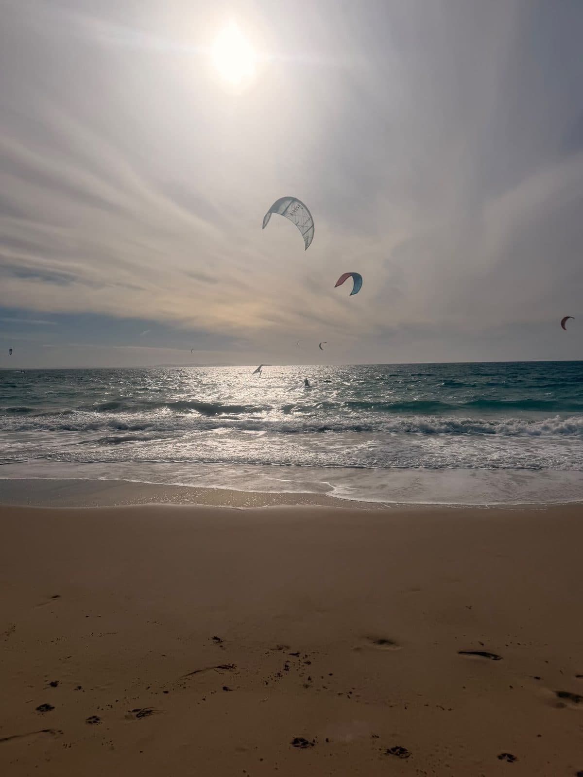 Kites im Gegenlicht über dem Wasser